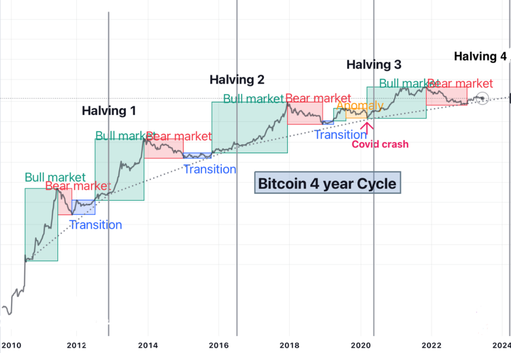 For more than a decade, bitcoin seemed condemned to a relentless four-year cycle: spectacular rises after each halving, followed by brutal crashes that discouraged investors.