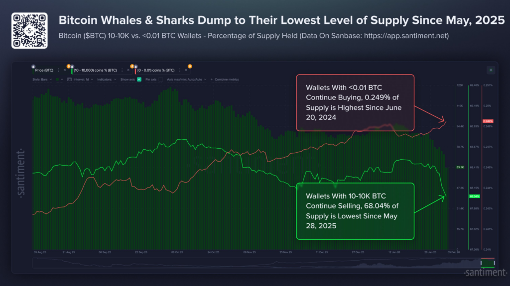 Whale and Shark Bitcoin Wallets Fall to Their Lowest Supply Levels Since May 2025.