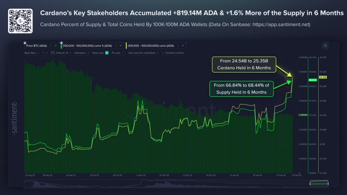 Chart showing the increase in holdings and supply share of major Cardano players over six months.