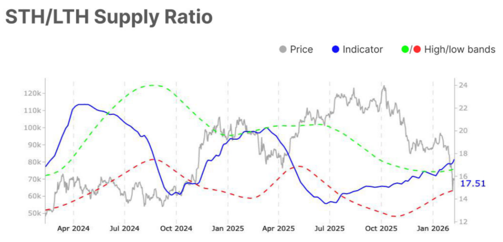 The STH/LTH (Short-Term Holder / Long-Term Holder) ratio also plays a crucial role. Currently high, it reflects increased participation by short-term holders, often synonymous with volatility.