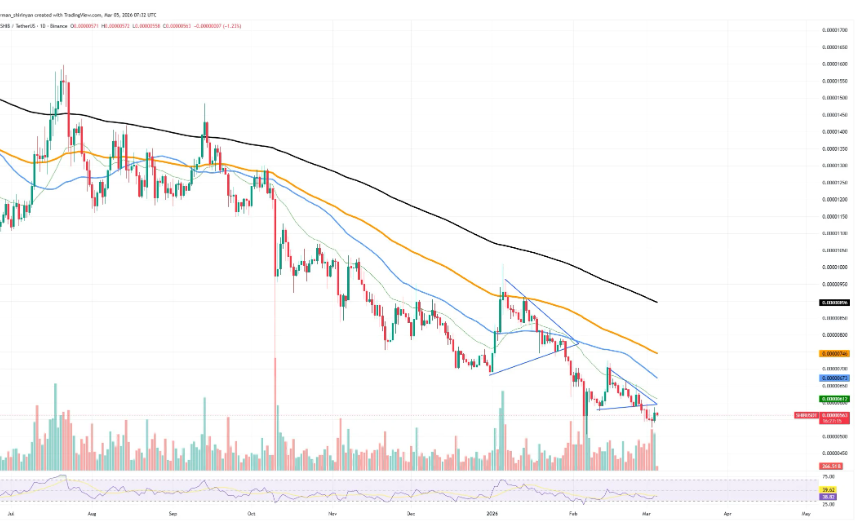 SHIB/USDT Chart — Source: TradingView