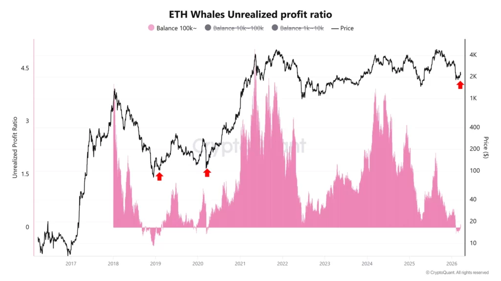 After months of losses, Ethereum whales are profitable again. Indeed, these giant addresses which strongly influence the crypto market are seeing their portfolios return to green.
