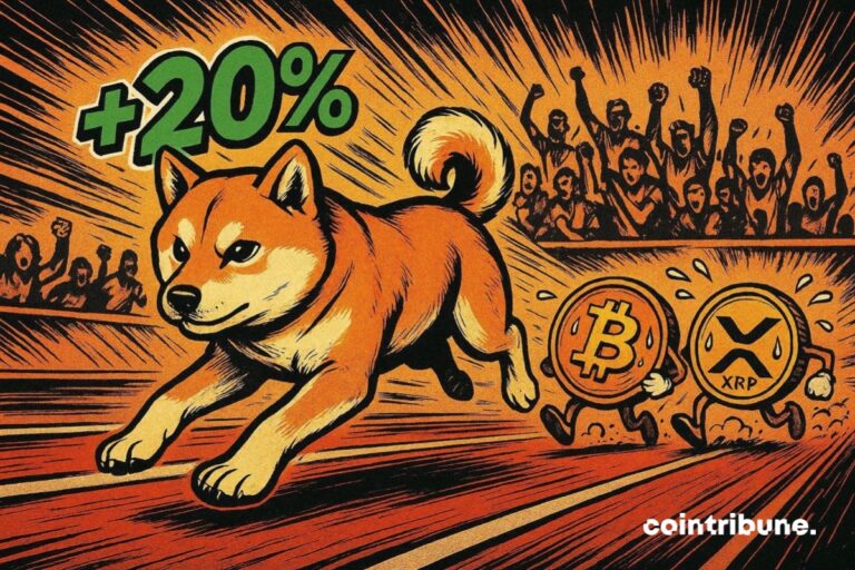Shiba Inu ahead of Bitcoin and XRP with an Open Interest of +20%