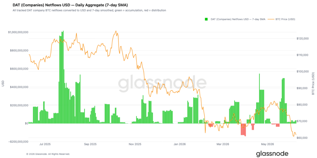 Chart from Glassnode comparing the daily net flows of companies holding Bitcoin as a treasury asset and the change in the price of BTC. The green and red bars represent the accumulation and distribution phases respectively, while the Bitcoin curve shows a gradual decline towards the $60,000 zone.