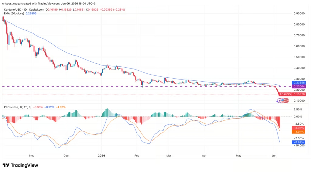 Technically, Cardano (ADA) has broken key support at $0.23 (head and shoulders pattern level) and is trading below its exponential moving average (50-week EMA), thus confirming a downtrend. Furthermore, indicators such as the PPO (Percentage Price Oscillator) remain negative, with a target of $0.10.
