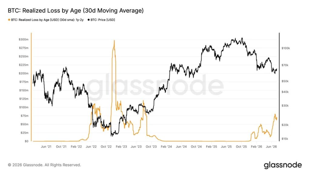 Glassnode graph comparing the price of Bitcoin (black curve) to the losses realized over 30 days of investors who held their BTC between one and two years (orange curve), from 2021 to 2026. Losses peak during phases of market correction, with a new increase observed in 2026 as Bitcoin retreats from its peak.