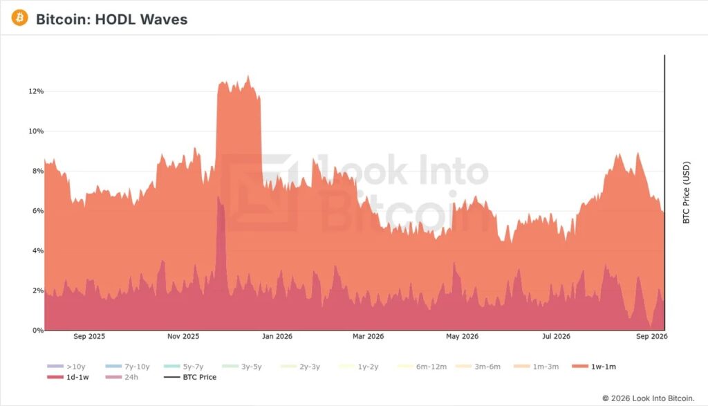 Bitcoin HODL Waves chart showing the evolution of bitcoins according to their duration of inactivity in wallets.